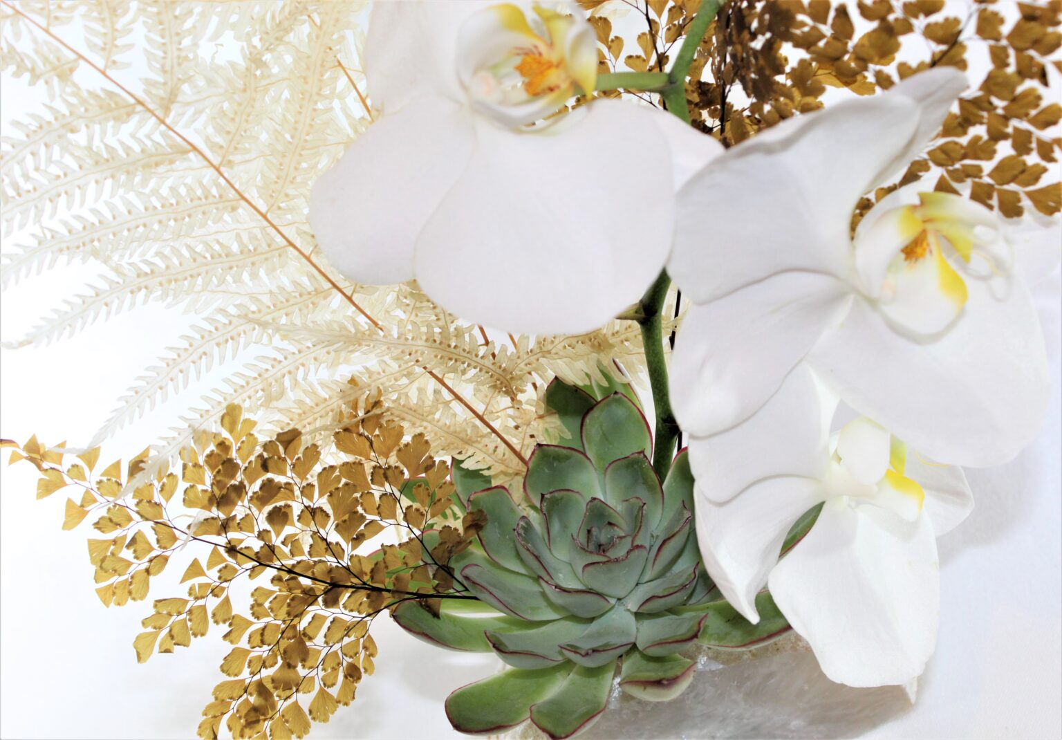 Crystal Orchid MA Floral